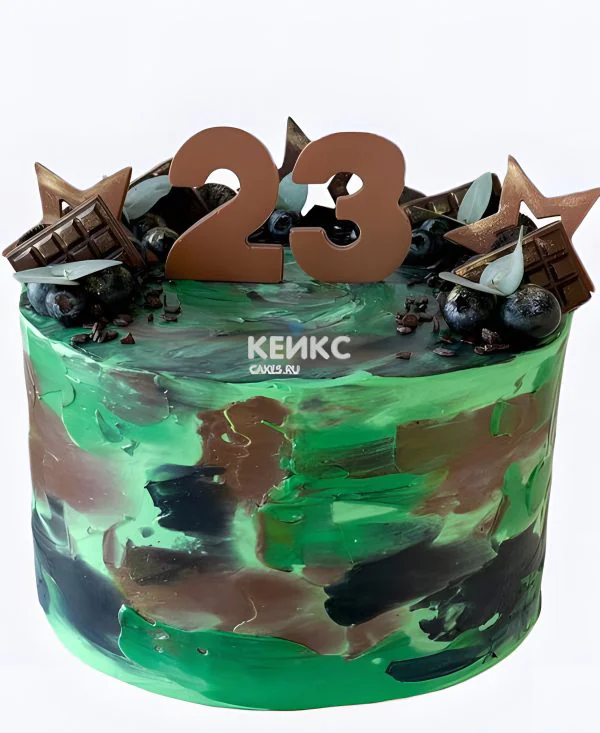 Торт на 23 февраля для любимого сына Фото