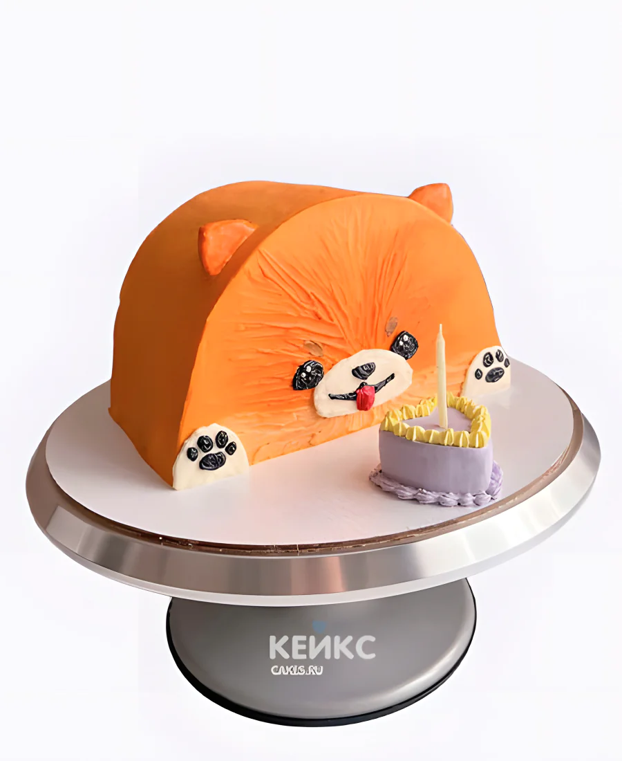 Торт половинка в виде шпица Торт половинка в виде шпица Фото