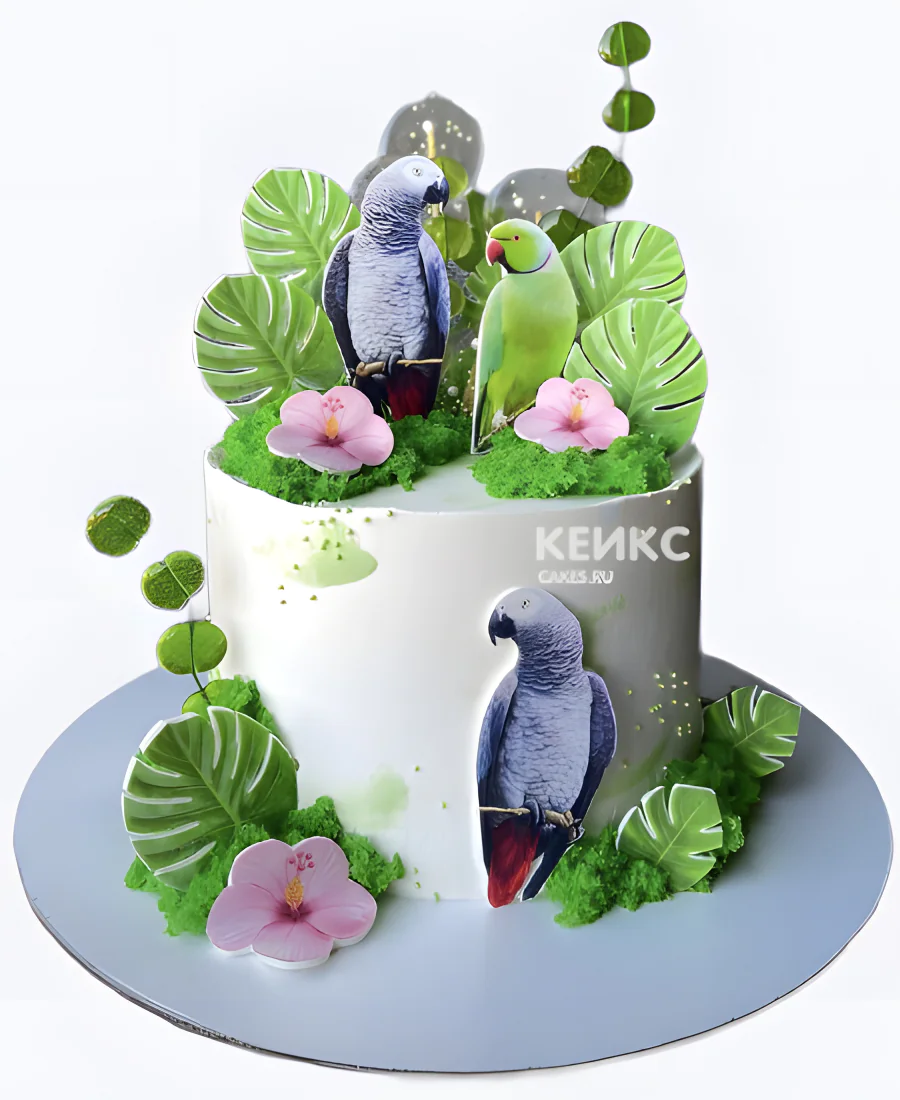 Торт с фотопечатью волнистых попугаев Торт с фотопечатью волнистых попугаев Фото