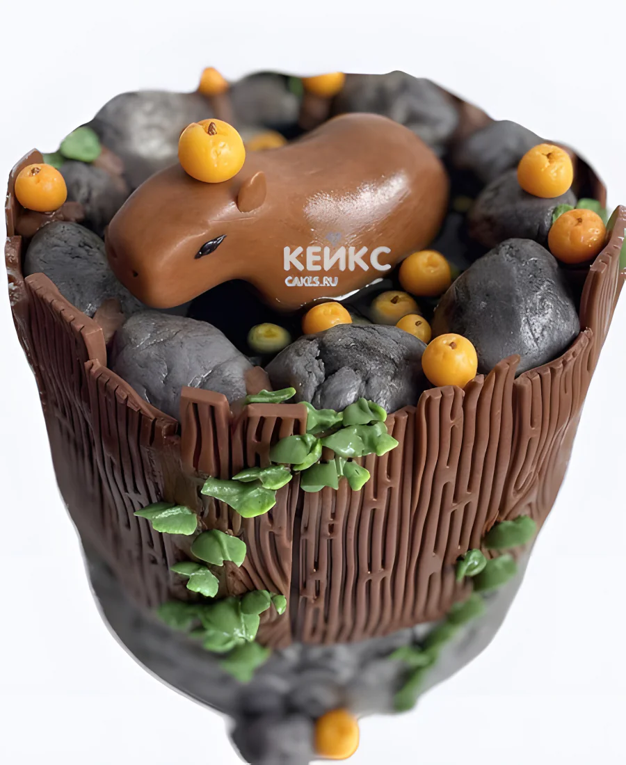 Торт с капибарой из мастики Торт с капибарой из мастики Фото
