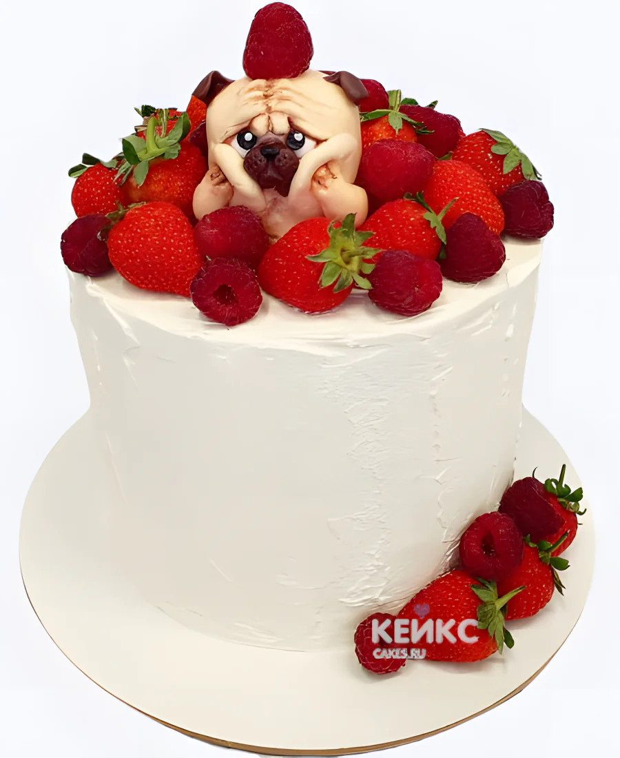 Торт с мопсом и ягодками Торт с мопсом и ягодками Фото