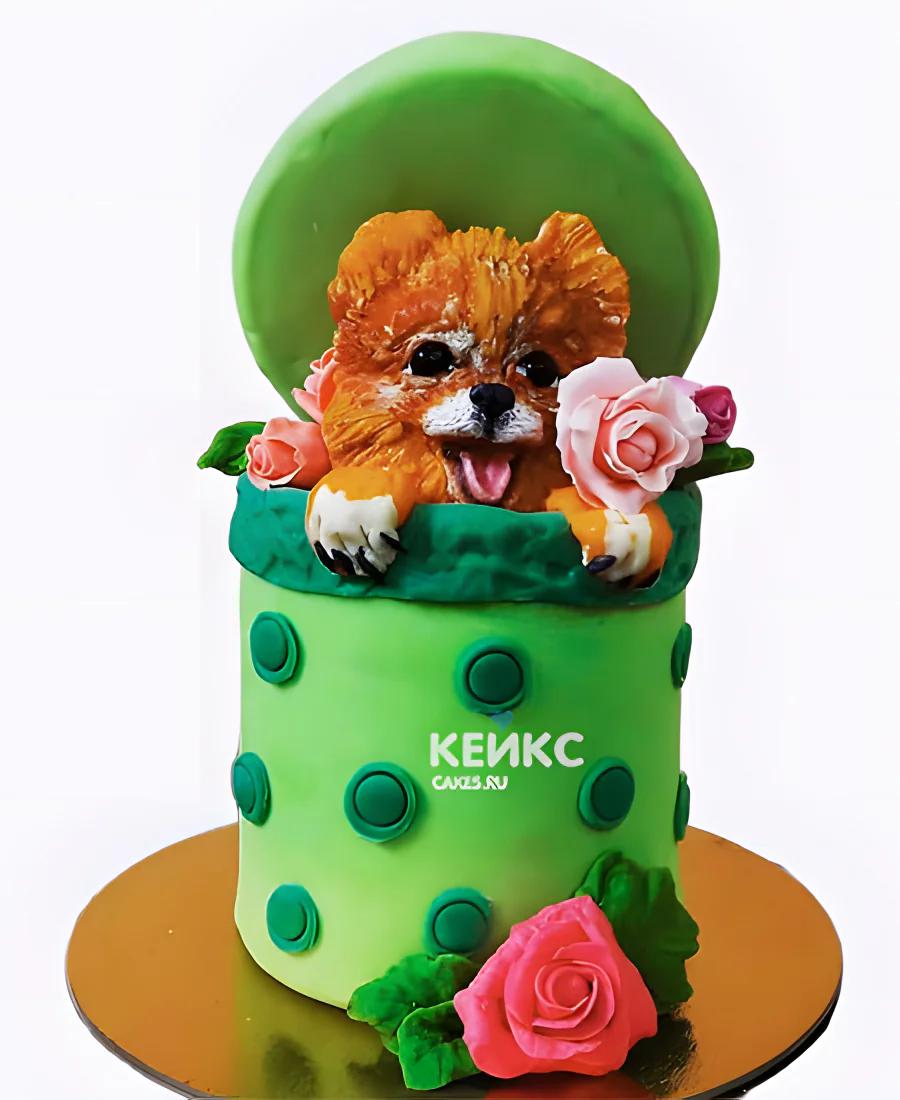 Торт со шпицем в виде подарочной коробки Торт со шпицем в виде подарочной коробки Фото