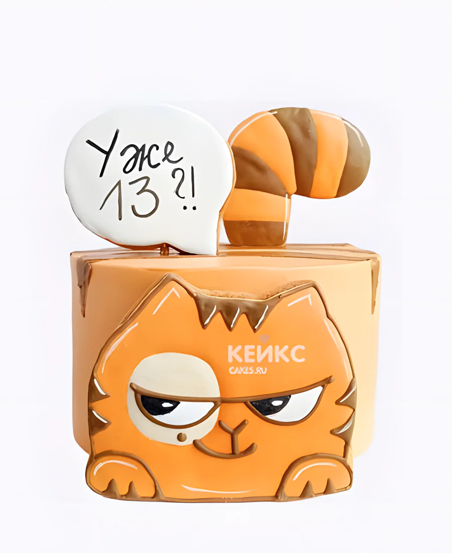 Торт с цифрой 13 и котиком Фото