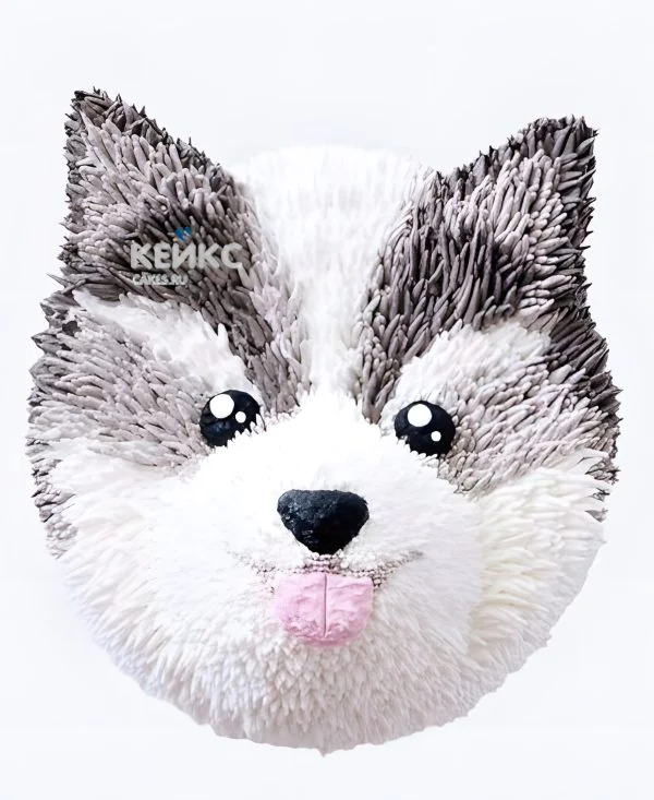 Торт в виде мордочки волка Торт в виде мордочки волка Фото