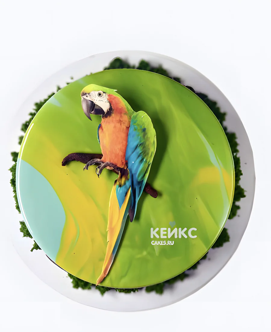 Зеркальный торт с попугаем Зеркальный торт с попугаем Фото
