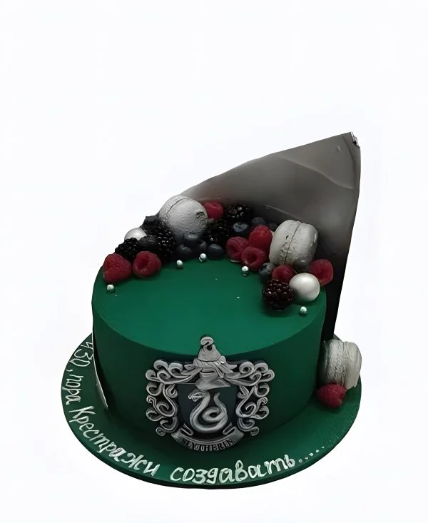 Красивый велюровый торт Гарри потер для факультета Слизерин Фото