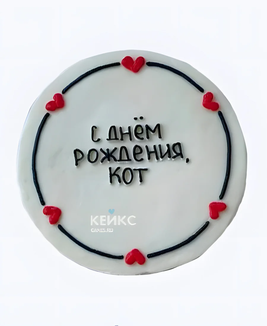 Бенто-торт коту на день рождения Фото
