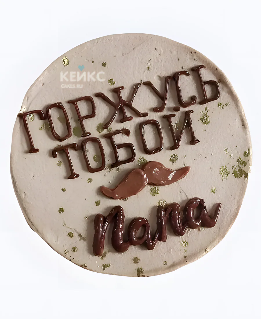 Бенто торт на 23 февраля «Горжусь тобой» Фото