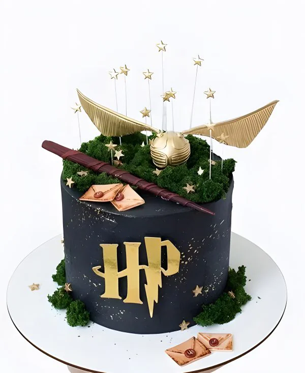 Черный тортик по Гарри Поттеру со звездочками и сничем Фото