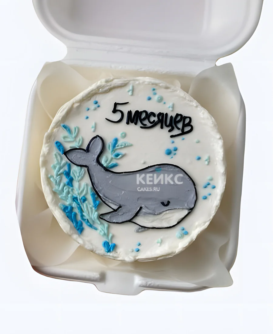Детский бенто торт на 8 месяцев с дельфином Детский бенто торт на 8 месяцев с дельфином Фото
