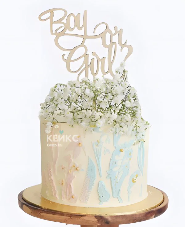 Гендер-торт с гипсофилой Фото