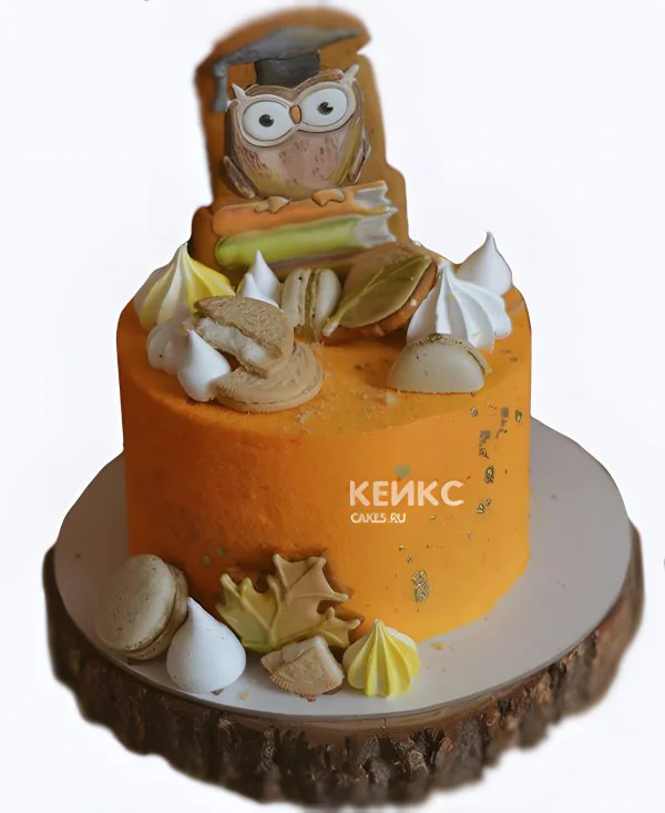 Яркий оранжевый торт на 1 сентября с совой Яркий оранжевый торт на 1 сентября с совой Фото
