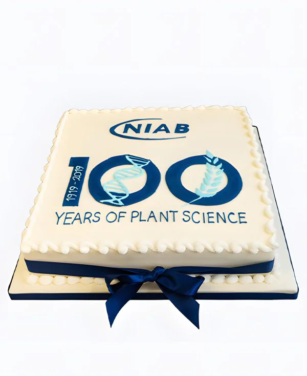 Корпоративный торт квадратный с синей ленточкой Фото