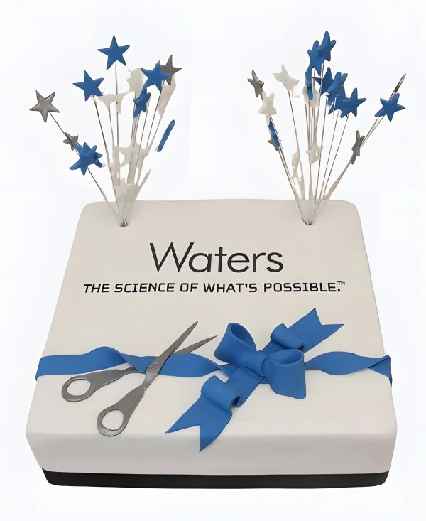 Корпоративный торт со звездами и лентой Фото