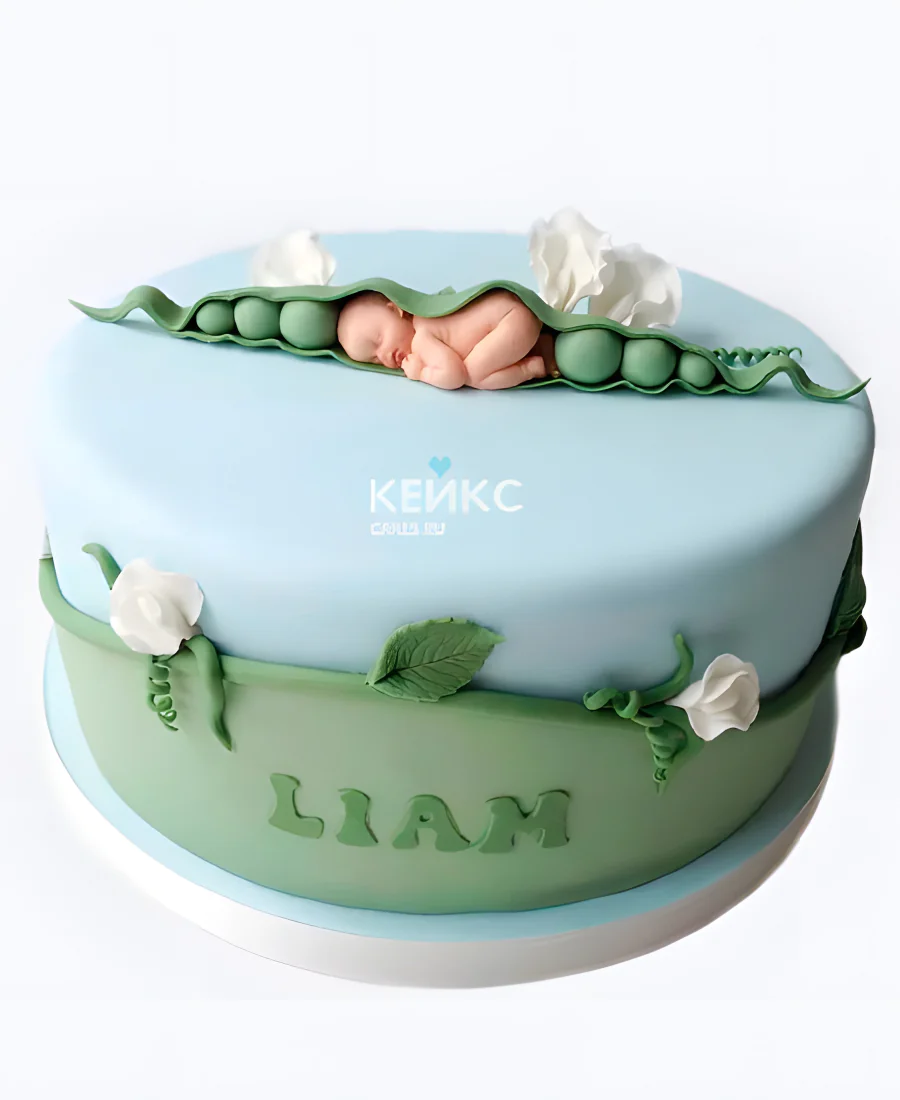 Прикольный торт на рождения ребенка скоро буду Фото