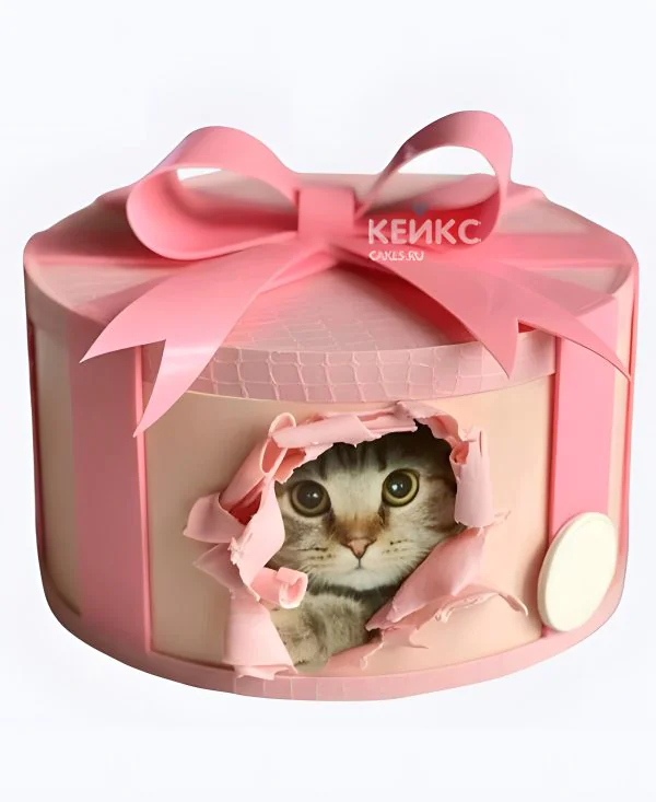 Прикольный торт в виде коробки с котиком Прикольный торт в виде коробки с котиком Фото