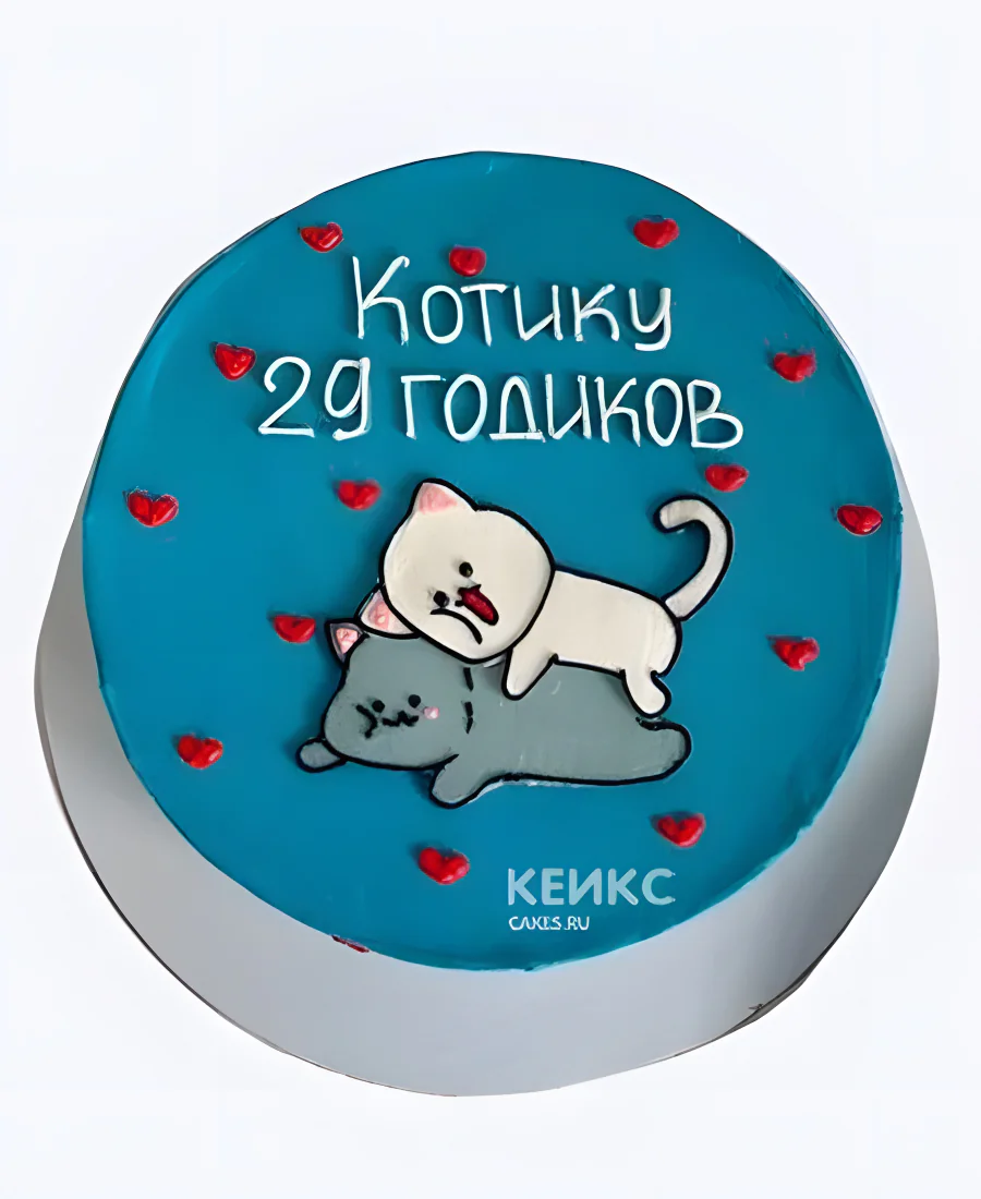 Синий бенто-торт с милыми котиками на 29 лет Синий бенто-торт с милыми котиками на 29 лет Фото