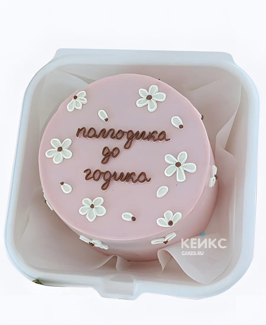 Бенто-торт на полгода девочке Ромашки на розовом Бенто-торт на полгода девочке Ромашки на розовом Фото