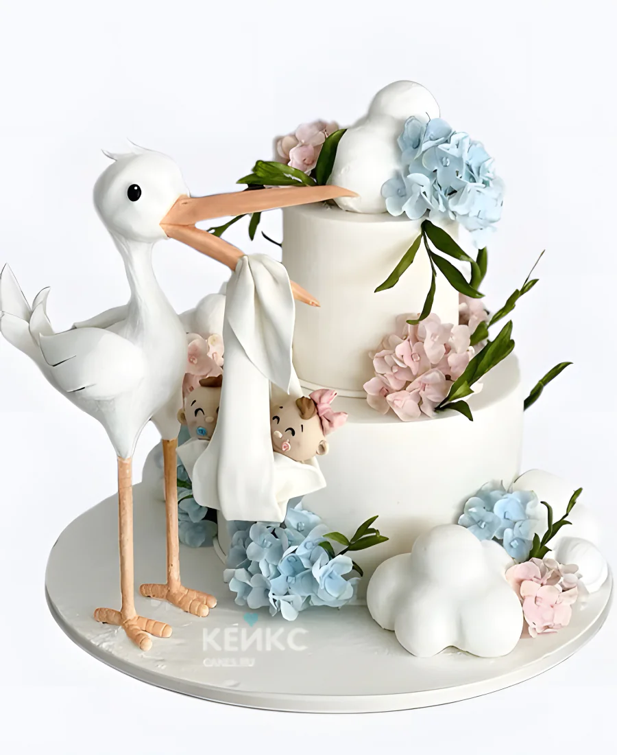 Торт на рождение двойняшек с аистом скоро будем Торт на рождение двойняшек с аистом скоро будем Фото