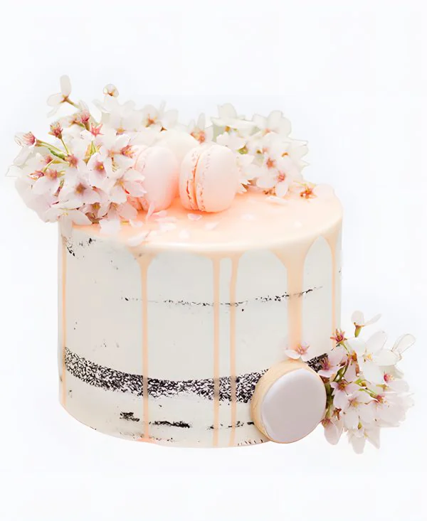 Торт Нежный дрип Фото