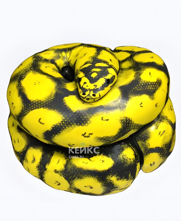 Торт в форме змеи, 3D Фото