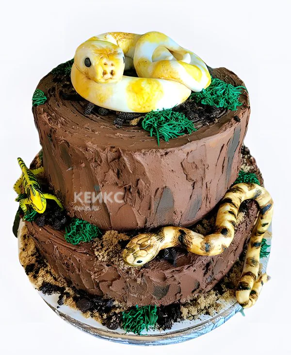 Торт Змеи на дереве Фото