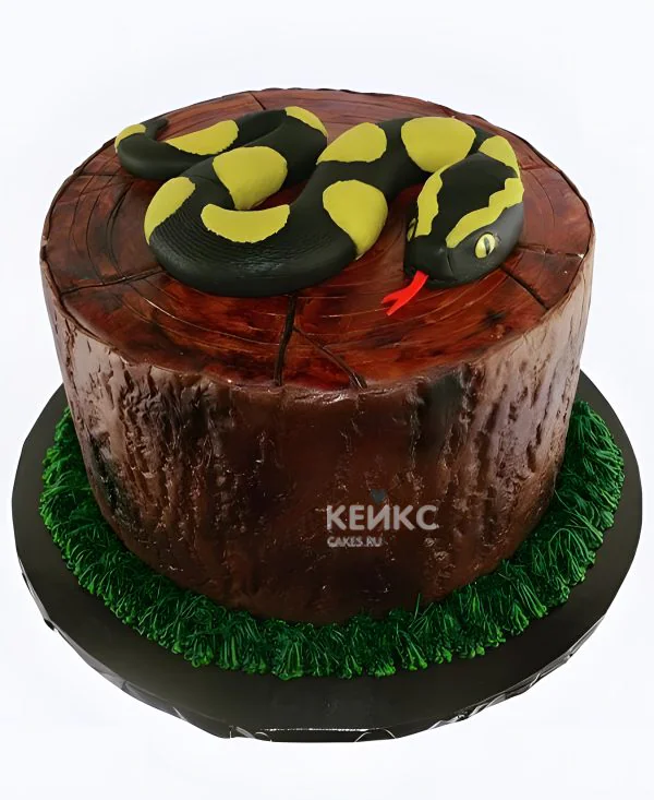 Торт Змея на пне Фото