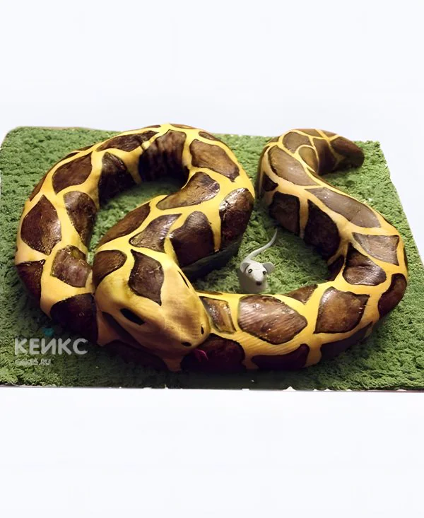 Торт Змея с мышкой Фото