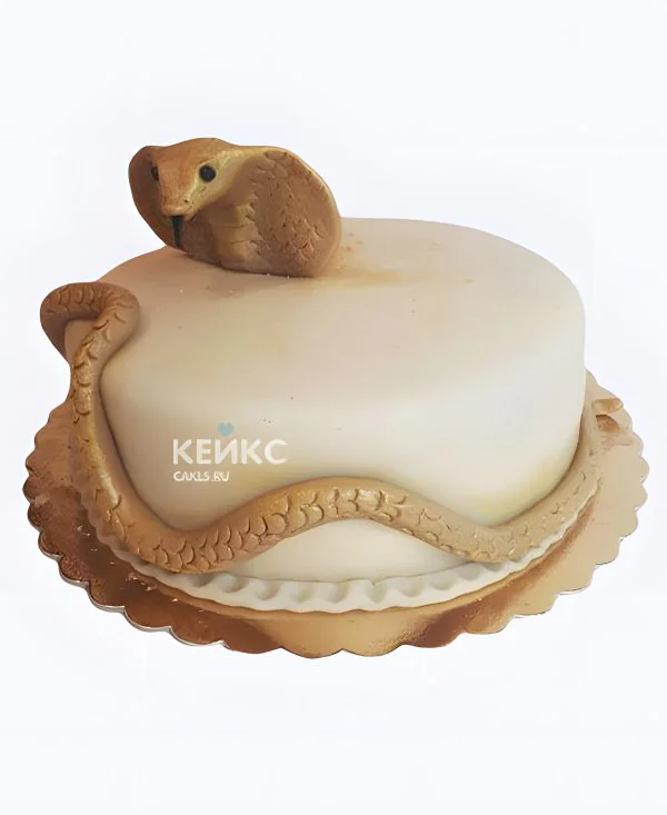 Торт змейка Фото