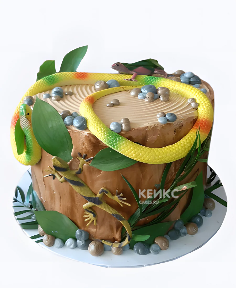 Торт Змейка на пне Фото