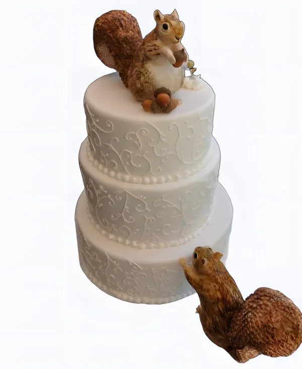 Торт Белая история Фото