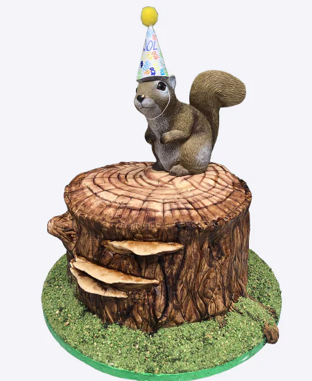 Торт Хвостик на празднике Фото