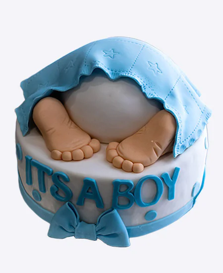 Торт Ножки под голубым пледом Фото