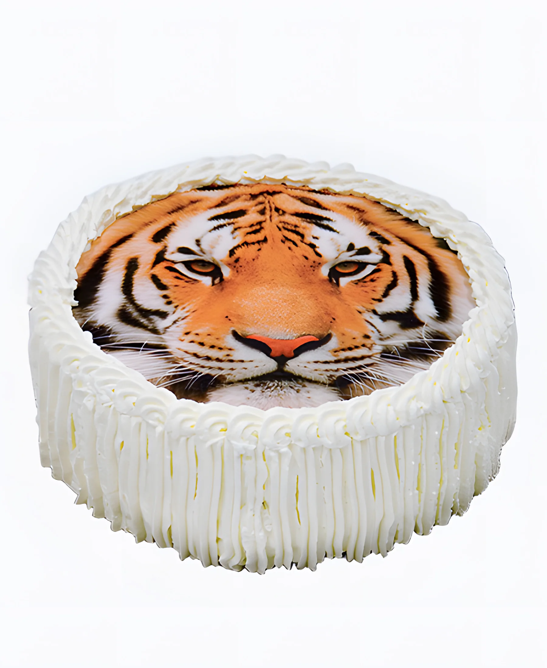 Торт Хищный взгляд Фото