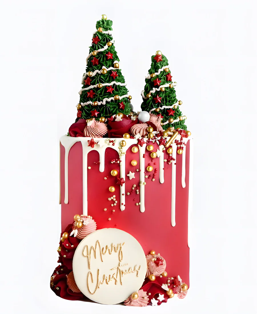 Торт Новогодний дуэт Фото