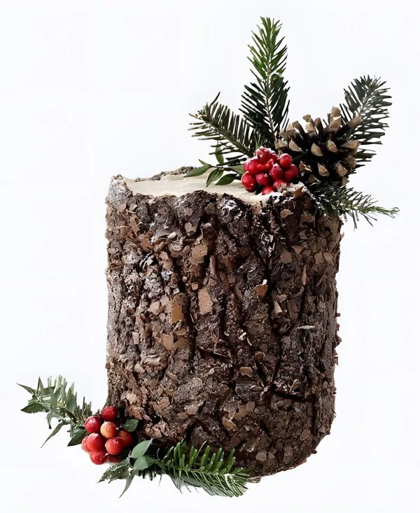 Торт Зимний пенёк с шишками Фото