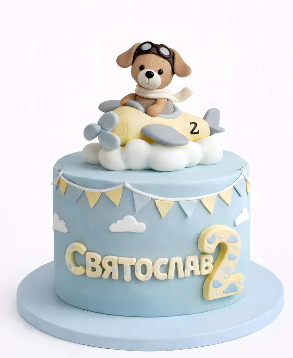 Стильный торт с самолетом и летчиком Фото