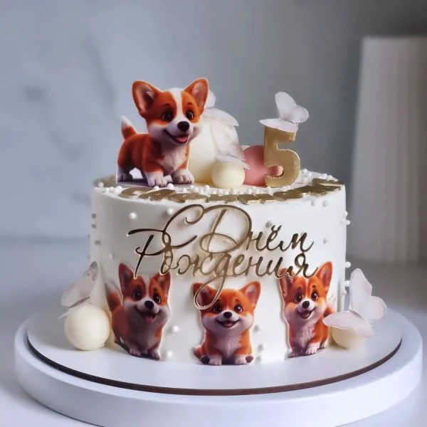 Торт с бабочками и фотопечатями на 5 лет Фото