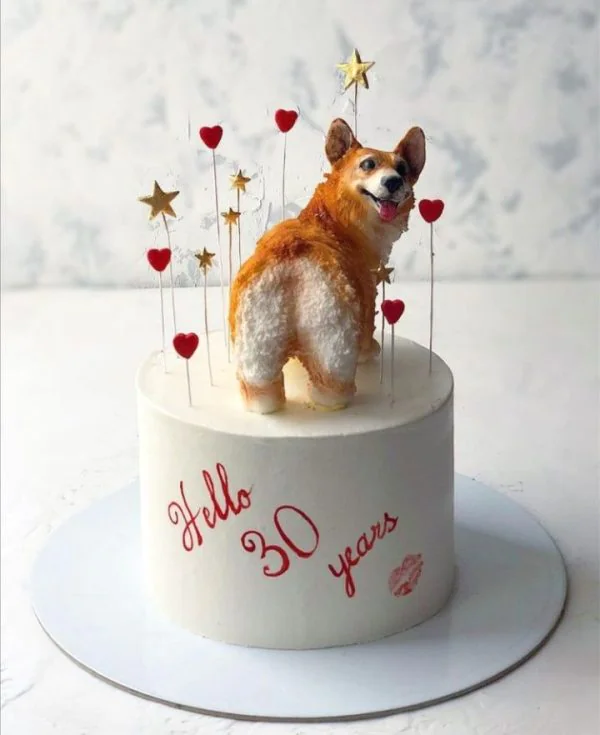 Торт на 30 лет с фигуркой корги и звёздами Фото