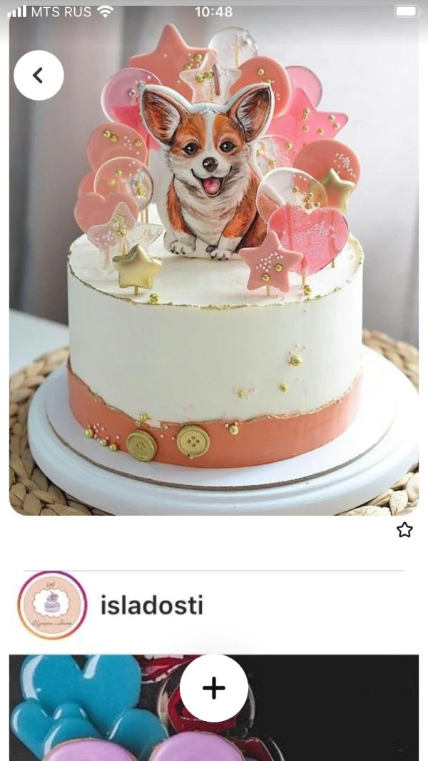 Торт с леденцами и собакой Фото