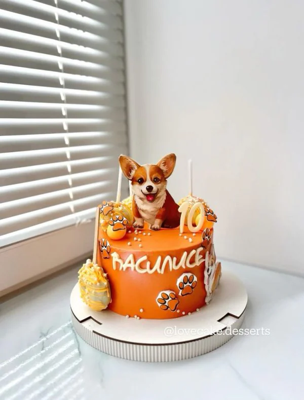 Оранжевый торт на 10 лет с собаками и лапками Фото