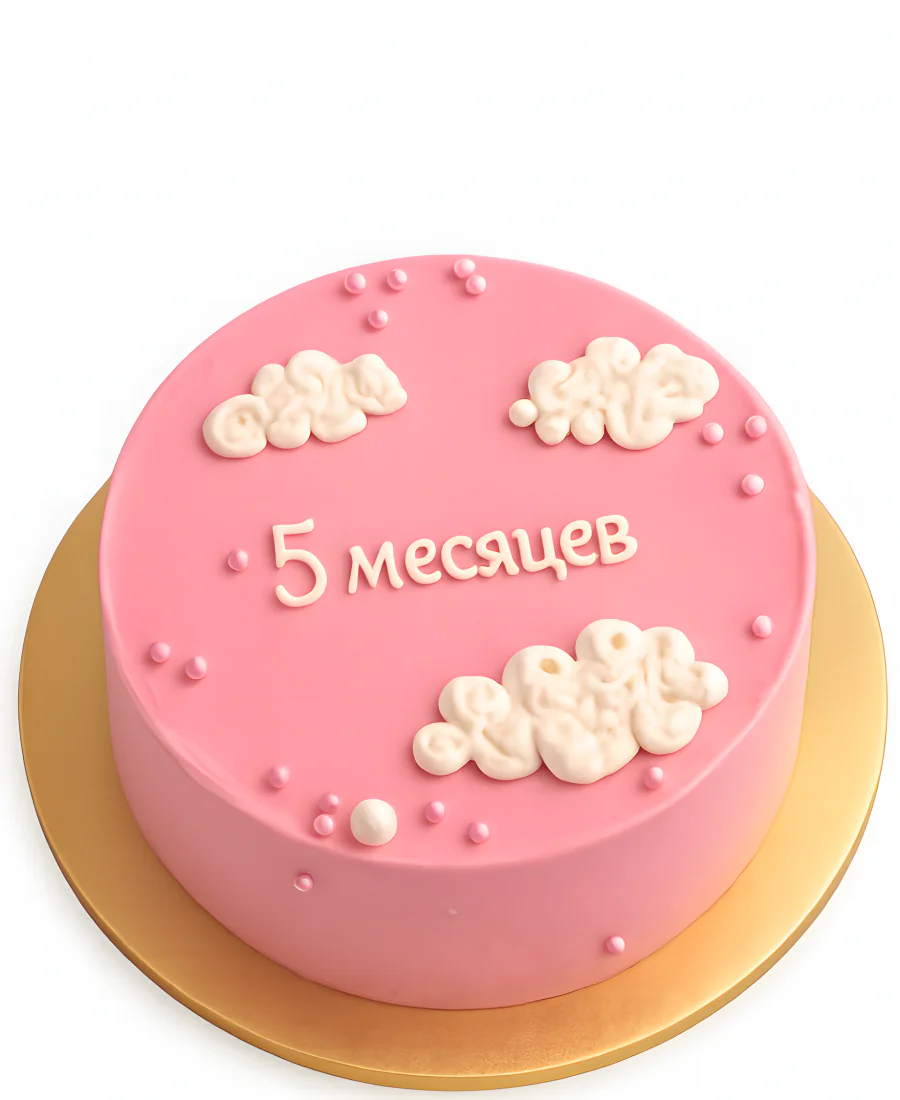 Бенто-торт на 5 месяцев девочке Фото