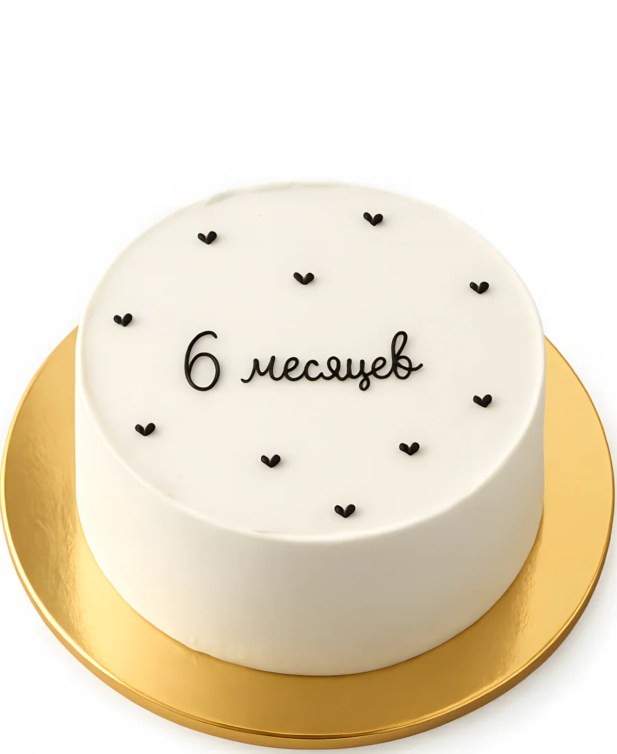 Бенто-торт на 6 месяцев Фото