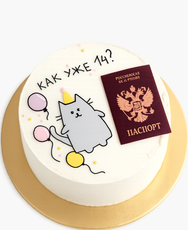 Бенто-торт с котиком и шариками мальчику Фото