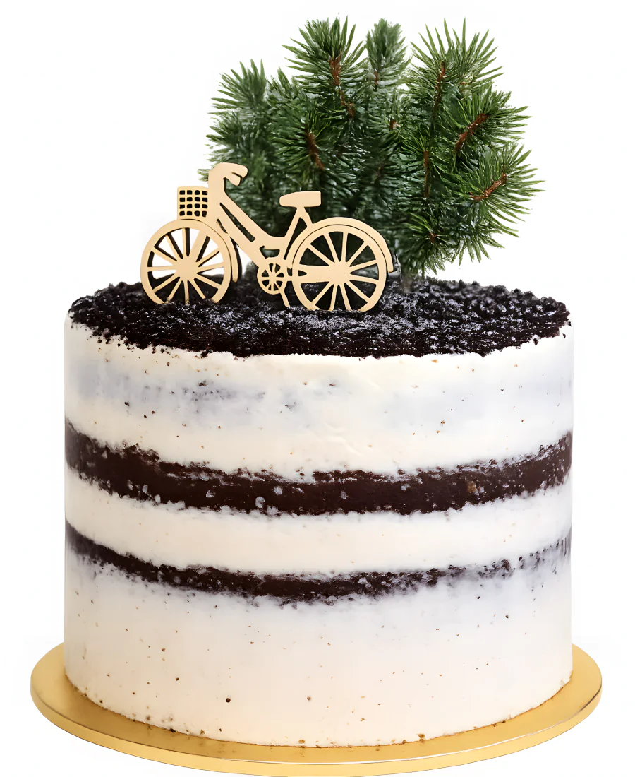 Минималистичный торт с велосипедом и кустом Фото