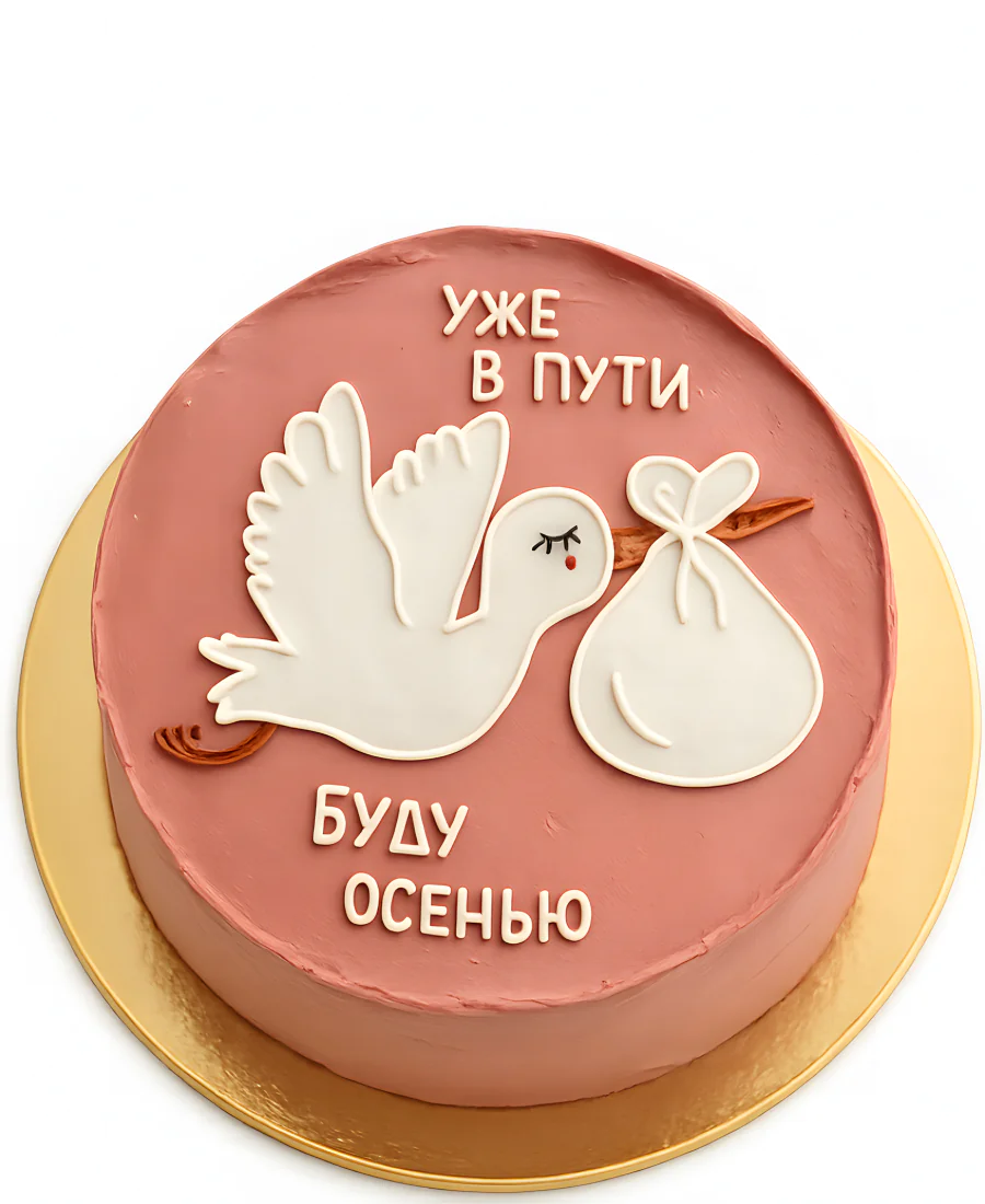 Розовый бенто-торт с аистом Фото