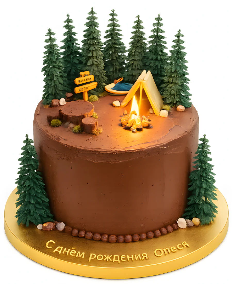 Шоколадный торт с палаткой в лесу Фото