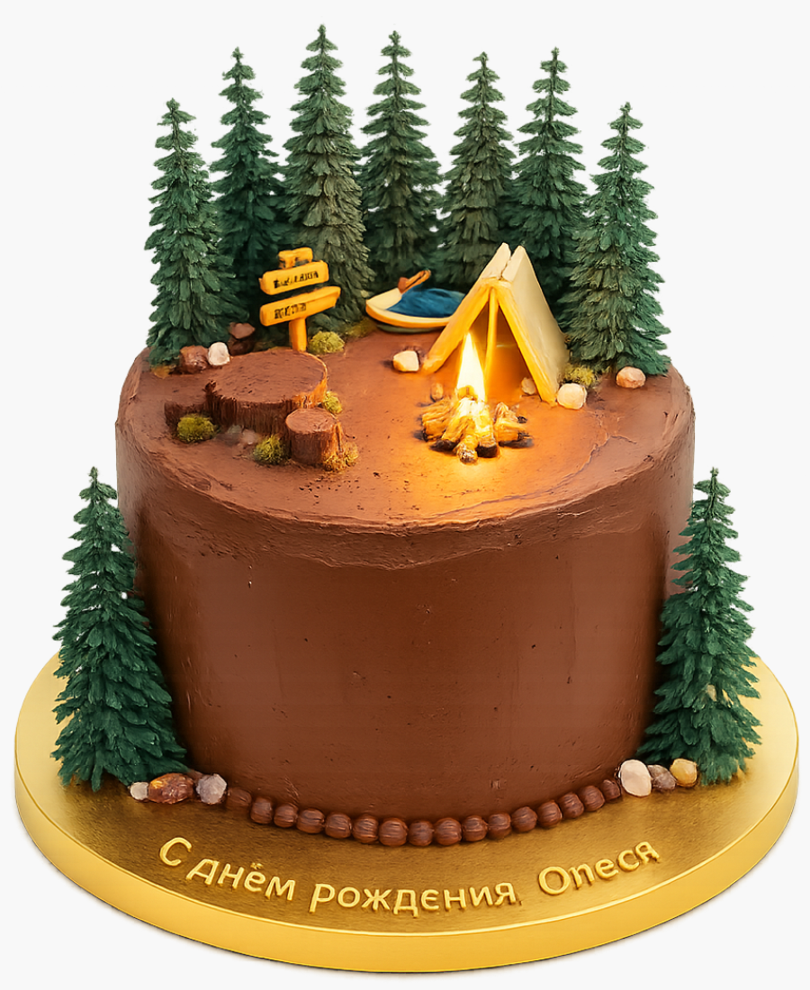 Шоколадный торт с палаткой в лесу Фото