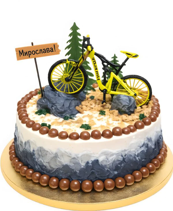 Торт с велосипедом, указателем и елкой Фото