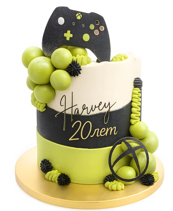 Зеленый торт с шоколадными шарами Фото